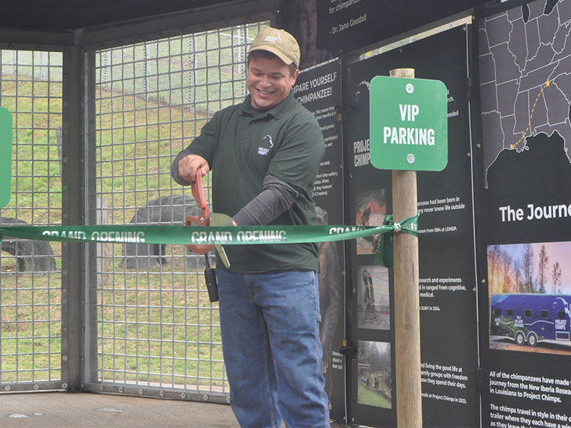Project Chimps Facilities Manager Rodney Newberry cut the ribbon for the new habitat at the facility. It encompasses is over two acres with only fencing so chimps can see out into the world around them. 